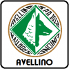 Avellino84.png