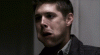 tumblr_lgw4z2uLnF1qck5vq.gif tumblr_lgw4z2uLnF1qck5vq.gif