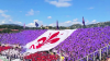 FIORENTINA FC Z FRANCHI.png