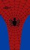 Kit Spider Man costume Rosso Sfondo Blu 384x624.jpg
