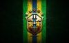 thumb2-brazil-national-football-team-golden-logo-south-america-conmebol-green-metal-background.jpg