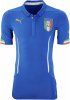 Italy 2014 World Cup Home Kit (1).jpg
