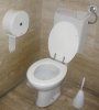 Toilet_with_flush_water_tank.jpg