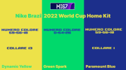 brazil 2022 colore.png