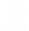 udinese logo 50 anni in A 2   bianco.png