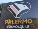 all-new-palmero-logo (1).jpeg