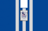 chelsea Home manica v2.png