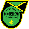 Jamaica_Football_Federation.svg.png