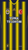 fenerbache99.png