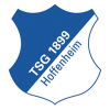 1899 Hoffenheim.png