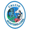 Calcio Montebelluna.png