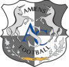 Amiens logo.png