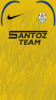 Kit Santoz Team fc Casa WildSfu Giallo 31-27-2.png