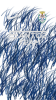 Kit Santoz Team fc Trasf Wild per azz o blu o nera.png