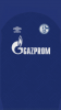 Schalke 2019 FRONT.png