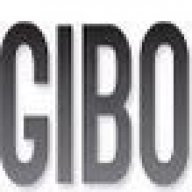 gibo66