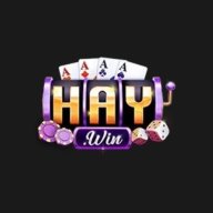 shaywincom